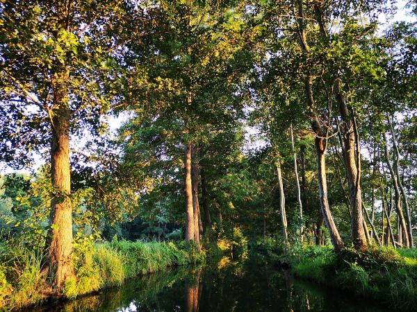 Spreewald Umgebung